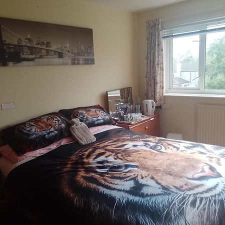 216 Glyn Eiddew Hotel คาร์ดิฟฟ์ ภายนอก รูปภาพ